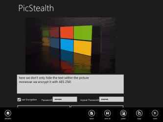 Screenshot 3 PicStealth windows