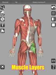 Imágen 12 3D Bones and Organs (Anatomy) android