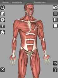 Screenshot 11 3D Bones and Organs (Anatomy) android