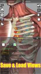 Captura de Pantalla 5 3D Bones and Organs (Anatomy) android