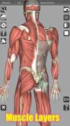 Captura 4 3D Bones and Organs (Anatomy) android