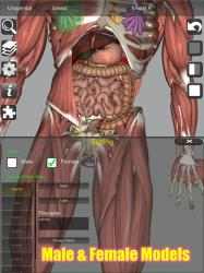 Screenshot 13 3D Bones and Organs (Anatomy) android