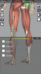 Imágen 6 3D Bones and Organs (Anatomy) android