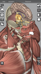 Screenshot 7 3D Bones and Organs (Anatomy) android