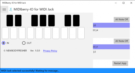 Screenshot 2 MIDIberry-IO for WIDI Jack windows