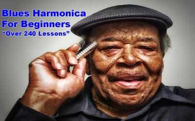 Screenshot 1 Blues Harmonica Beginners Lessons windows
