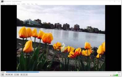Screenshot 1 Super DVD Player windows