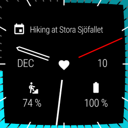 Capture 2 Polar Watch Faces android