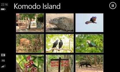 Capture 12 Komodo National Park windows