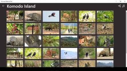 Screenshot 3 Komodo National Park windows