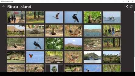 Screenshot 6 Komodo National Park windows