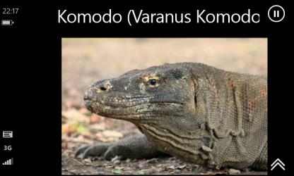 Capture 11 Komodo National Park windows
