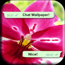 Screenshot 1 Flowers for Whatsapp Wallpaper 4K android