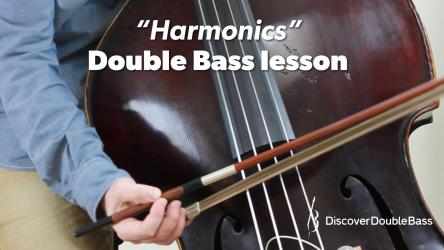 Screenshot 6 Learn To Play The Double Bass windows