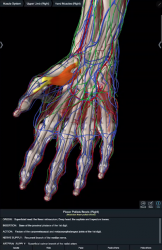 Screenshot 9 Essential Anatomy 5 android