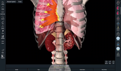 Screenshot 10 Essential Anatomy 5 android