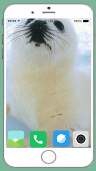 Captura de Pantalla 4 Harb Seal Full HD Wallpaper android
