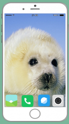 Captura 6 Harb Seal Full HD Wallpaper android