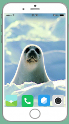 Screenshot 3 Harb Seal Full HD Wallpaper android