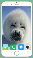 Captura de Pantalla 13 Harb Seal Full HD Wallpaper android