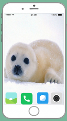 Screenshot 11 Harb Seal Full HD Wallpaper android