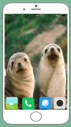 Screenshot 5 Harb Seal Full HD Wallpaper android
