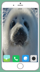 Screenshot 8 Harb Seal Full HD Wallpaper android