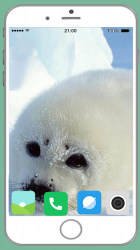 Screenshot 14 Harb Seal Full HD Wallpaper android