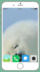 Captura de Pantalla 12 Harb Seal Full HD Wallpaper android