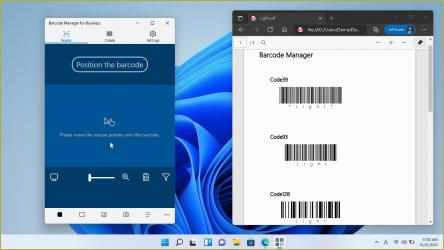 Captura 6 Barcode Manager for Business windows