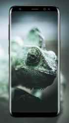 Screenshot 5 Imágenes de camaleón android