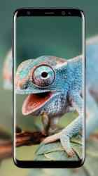 Screenshot 3 Imágenes de camaleón android