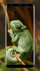 Capture 6 Imágenes de camaleón android