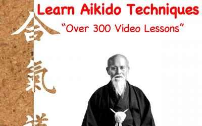 Image 1 Aikido Techniques Training windows