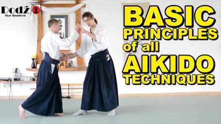 Screenshot 4 Aikido Techniques Training windows