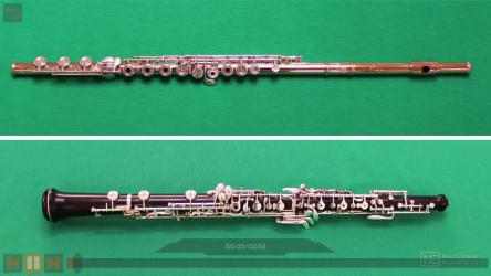 Screenshot 7 Flutes and Oboes Course by Ask.Video windows