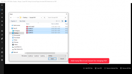 Capture 3 Easy PDF Editor windows