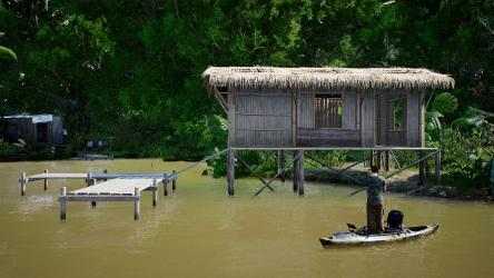 Imágen 7 Fishing Sim World®: Pro Tour - Laguna Iquitos windows