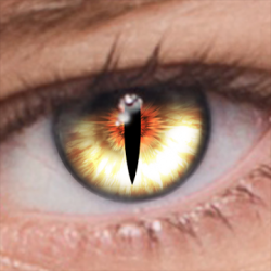 Captura de Pantalla 1 FoxEyes - Change Eye Color by Real Anime Style android