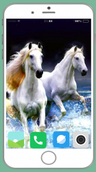 Screenshot 4 Horse Full HD Wallpaper android