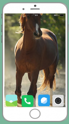 Captura de Pantalla 14 Horse Full HD Wallpaper android