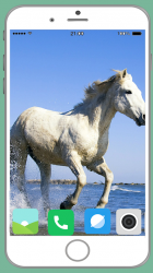 Captura 7 Horse Full HD Wallpaper android