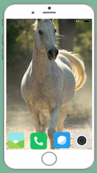 Captura 6 Horse Full HD Wallpaper android