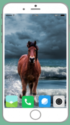 Captura de Pantalla 8 Horse Full HD Wallpaper android