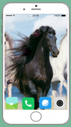 Screenshot 10 Horse Full HD Wallpaper android