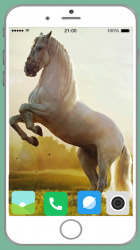 Screenshot 5 Horse Full HD Wallpaper android