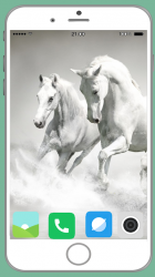 Screenshot 3 Horse Full HD Wallpaper android