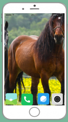 Captura 12 Horse Full HD Wallpaper android