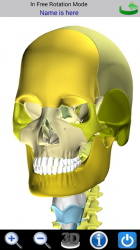 Imágen 4 Visual Bones android