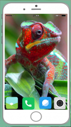 Captura 14 Chameleon Full HD Wallpaper android